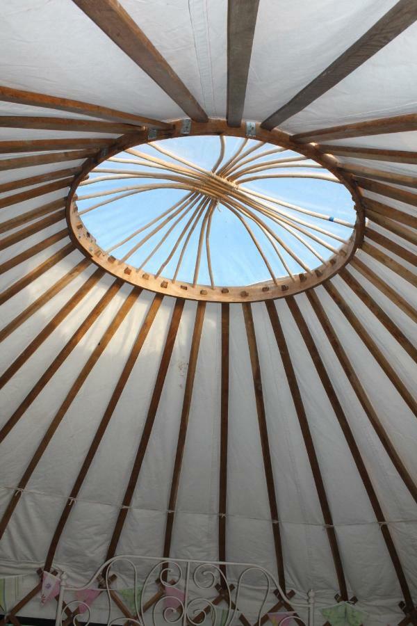 Mill Haven Place Glamping-Yurt 1 Talbenny Exterior photo